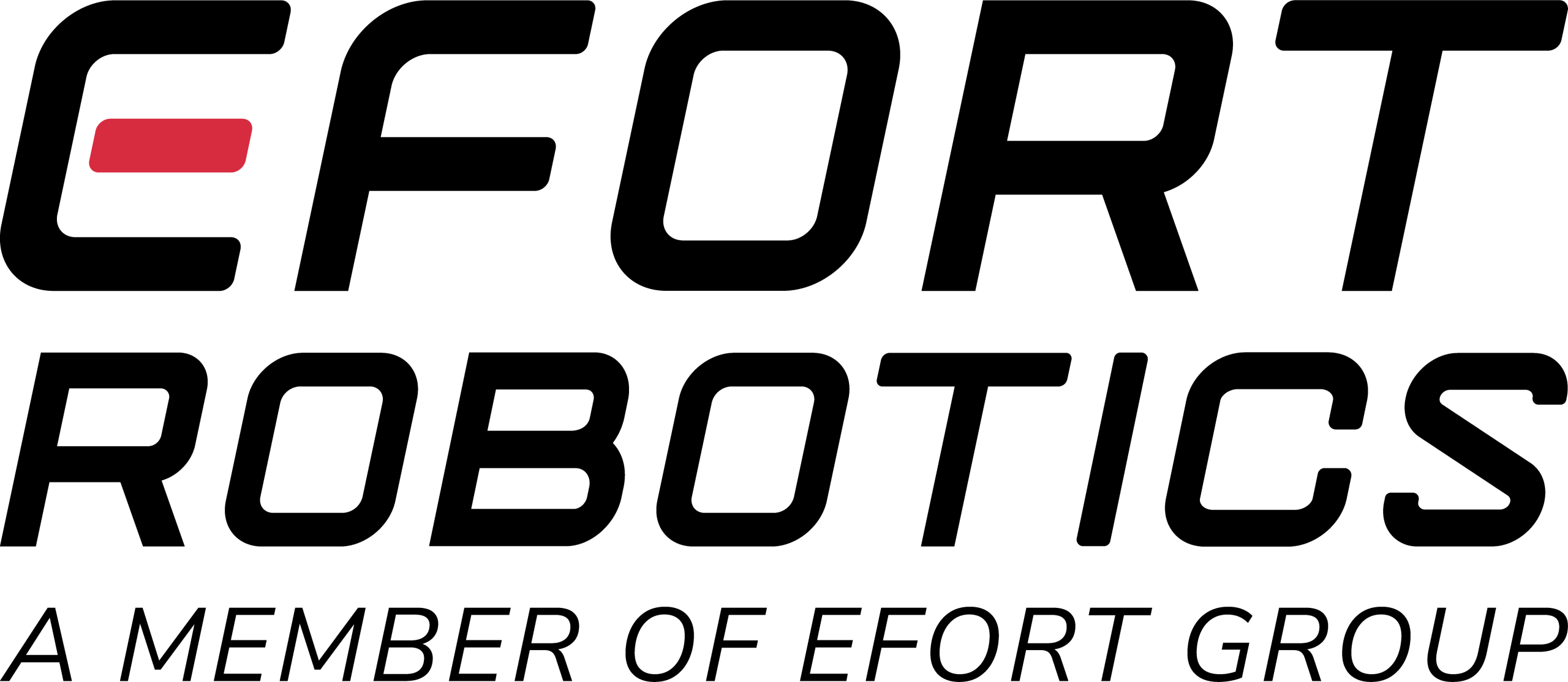 Efort Robotics S.r.l.