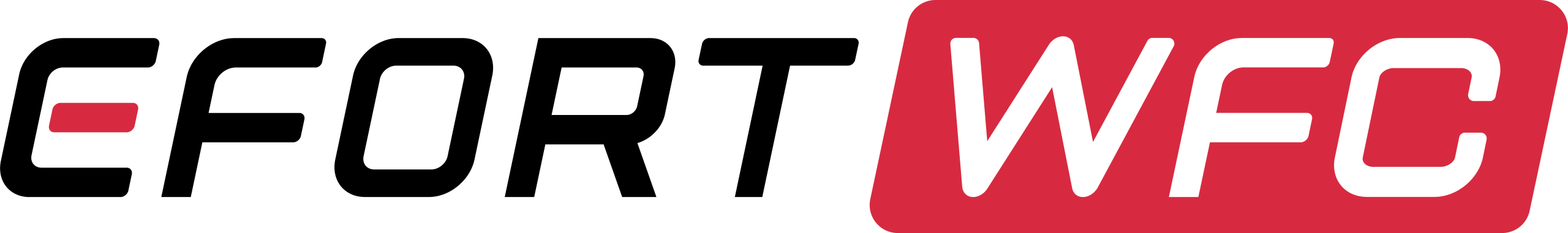 EFORT W.F.C. Holding S.r.l.